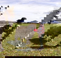 Taras Richmond Farmstay - SA Accommodation