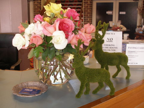 Apollon Motor Inn - SA Accommodation 2