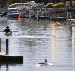 Sunsea Waterfront South Yunderup - SA Accommodation