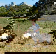Country Cottages of Bridgetown - SA Accommodation
