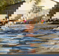 Riverside Cabin Park - SA Accommodation
