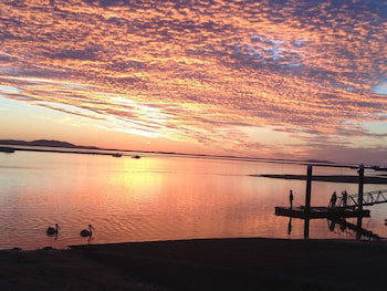 Sunbird Gardens - SA Accommodation 4