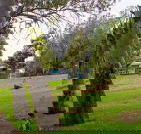 Windsor Gardens Caravan Park - SA Accommodation