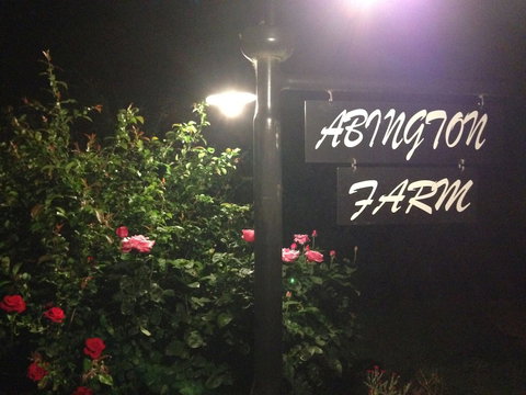 Abington Farm - SA Accommodation 4