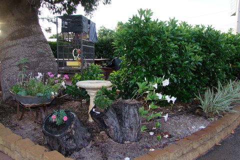 Acacia Motel - SA Accommodation 2