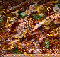 Pizza D'oh - SA Accommodation