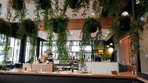 Billy's Paddock - SA Accommodation 0