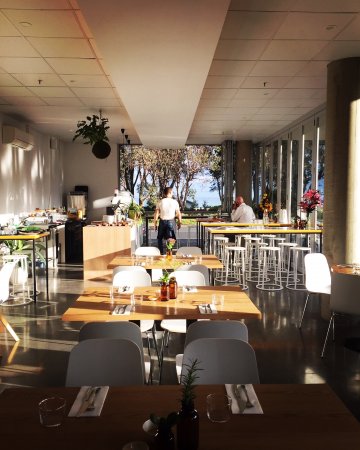 Monkey Business - SA Accommodation 0