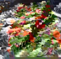 Spuds Fish Moorebank - SA Accommodation