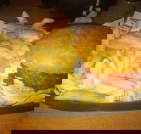 Finn  Co Cafe - SA Accommodation