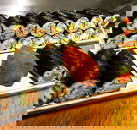 Freewave Sushi  Burgers - SA Accommodation