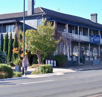 Coachwood  Cedar Motor Hotel Restaurant - SA Accommodation