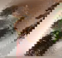 Dai Nam Cafe  Restaurant - SA Accommodation