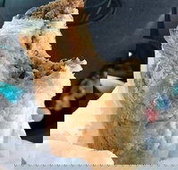 Foster's Bakery - SA Accommodation