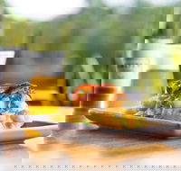 Hello Harry - Ascot  Hamilton - SA Accommodation