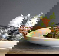 Daark Espresso Bar - SA Accommodation