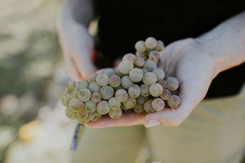 Rowlee Vine To Table Experience - SA Accommodation 1
