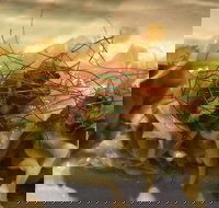 Tarana Indian Restaurant - SA Accommodation