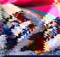 Donut King - Blackburn - SA Accommodation