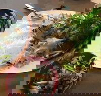 Thien An - SA Accommodation