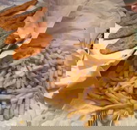 Kingfisher Fish  Chips - SA Accommodation