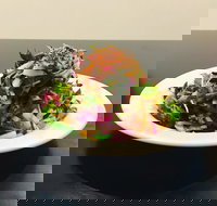 Mai Jia - SA Accommodation