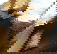 Kunara Organic Cafe - SA Accommodation