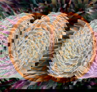 La Bouche - SA Accommodation