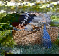 Rowlee Wines Picnic Hamper - SA Accommodation