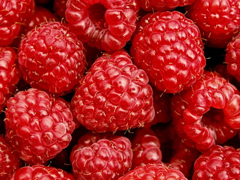 Christmas Hills Raspberry Farm Cafe - SA Accommodation 2