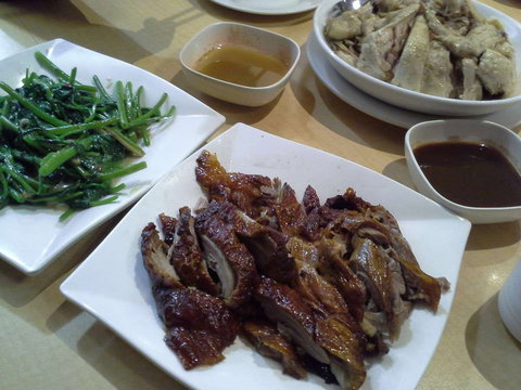 Coffee Guru - Lanyon - Conder - SA Accommodation 0