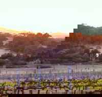 Howling Wolves Wines - SA Accommodation