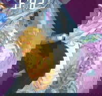 Sharks Tail Fish  Chippery - SA Accommodation