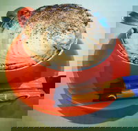 Arthur Radley - SA Accommodation