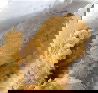 Captain Roxburg Fish  Chips - SA Accommodation