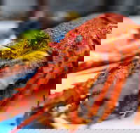 Freycinet Marine Farm - SA Accommodation