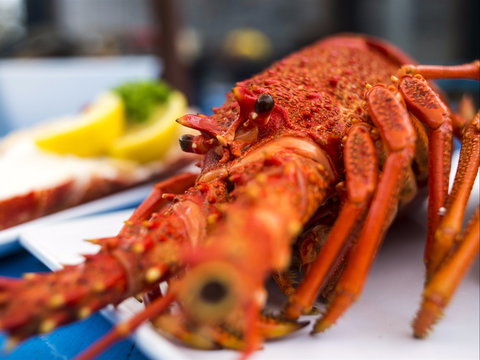 Freycinet Marine Farm - SA Accommodation 0