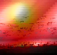 Barra Cafe on Riverview - SA Accommodation