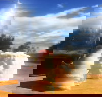 Fork it Farm - SA Accommodation