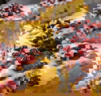 Persian Room 248 - SA Accommodation