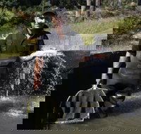 41 Degrees South Tasmania - SA Accommodation