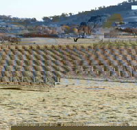 Patina Wines - SA Accommodation