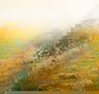 Poonawatta - SA Accommodation