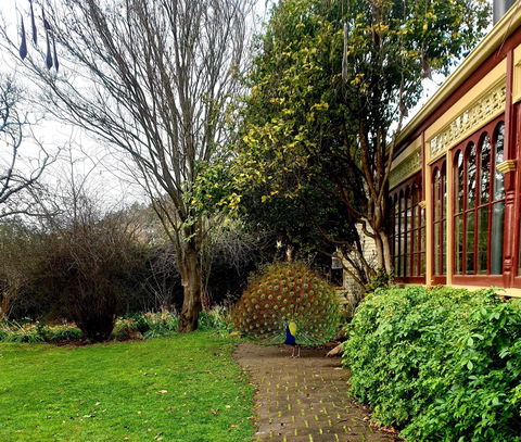 Glen Derwent Tea Rooms - SA Accommodation 0