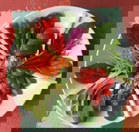 Olive Bus Clare - SA Accommodation