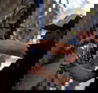 Wild Hop Brewing Company - SA Accommodation