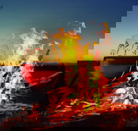 Black Dog Brewery - SA Accommodation