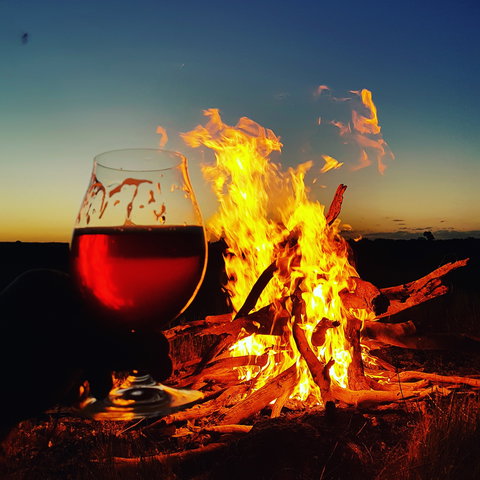 Black Dog Brewery - SA Accommodation 0