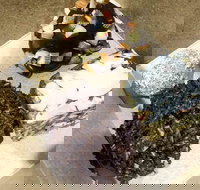 Frollicking Frog - SA Accommodation