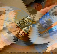 Museum Coffee Shop - SA Accommodation